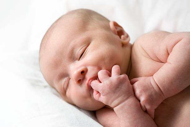 recém- nascido baby - thumb sucking cute small lying down imagens e fotografias de stock