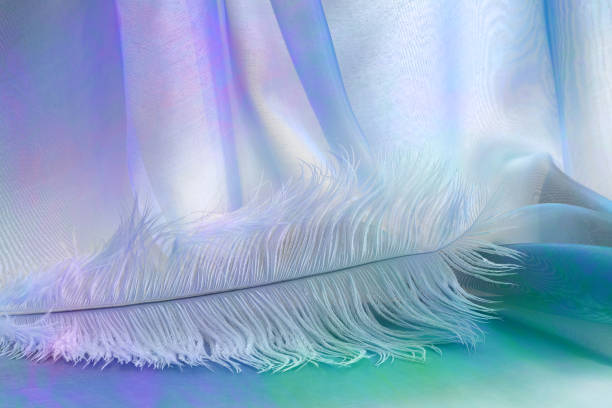 Photo of Angelic Lilac Feather Background