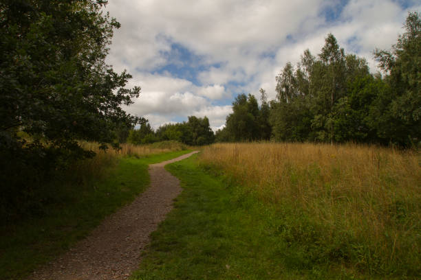 istock Path up a rural hill in summer 966822132