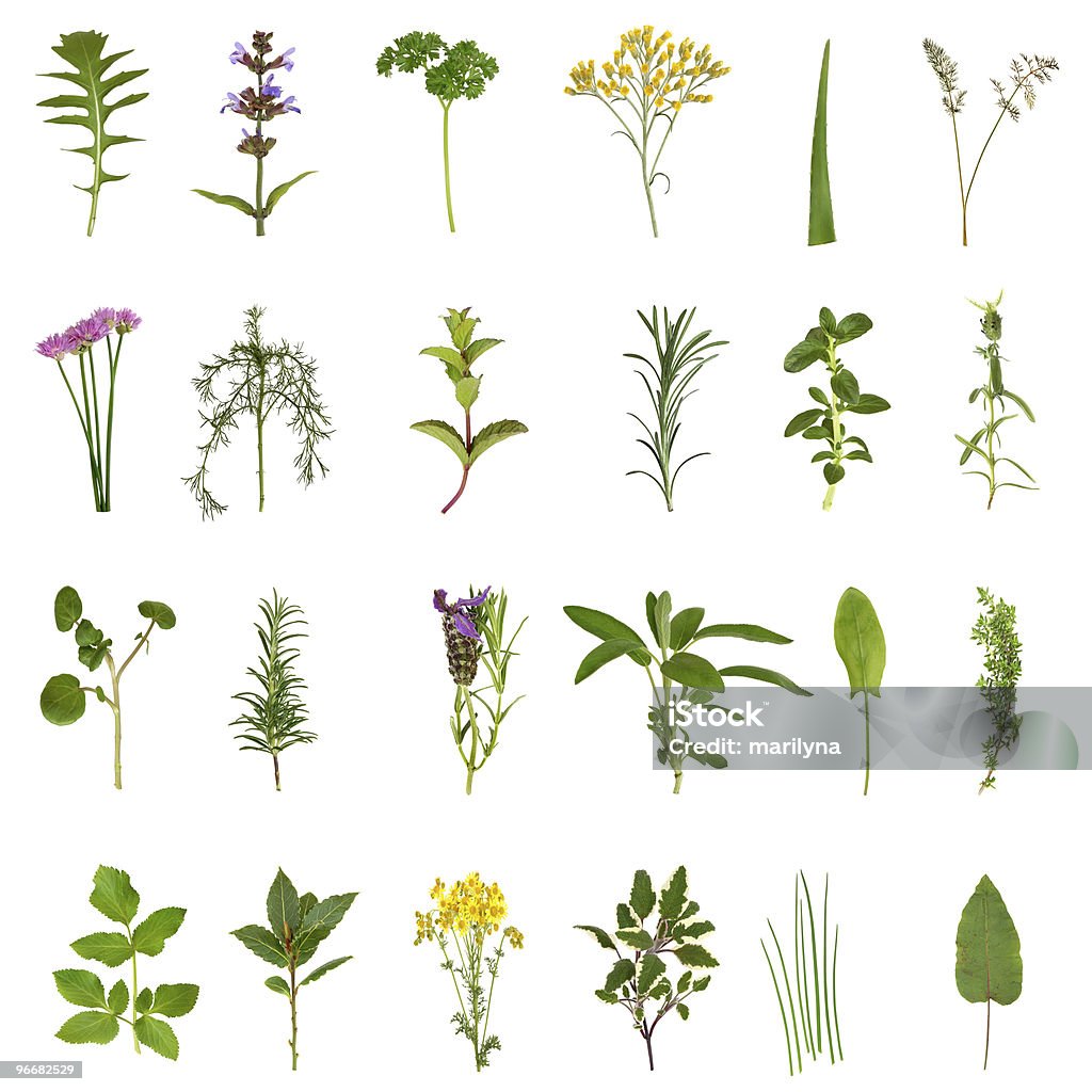 Collezione Foglia di erba e fiori - Foto stock royalty-free di Scontornabile