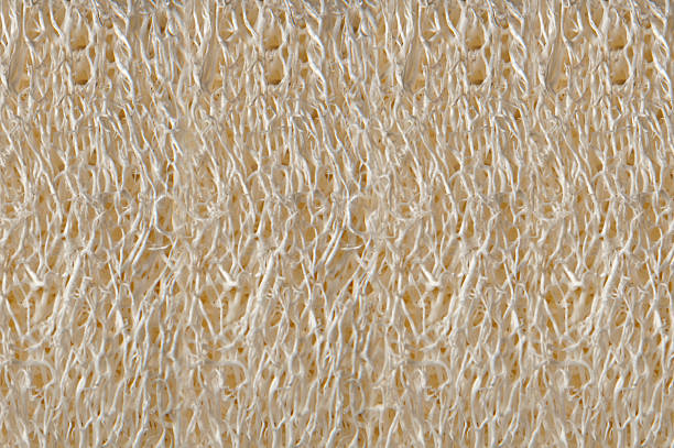 White Natural Luffa Sponge Texture, Front View, Full Frame, FullFocus stock photo
