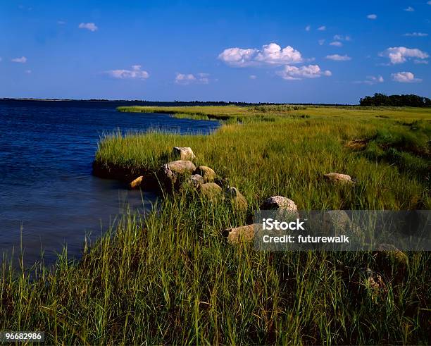 Wetlands Orient Ny Stock Photo - Download Image Now - Long Island, Marsh, Nature