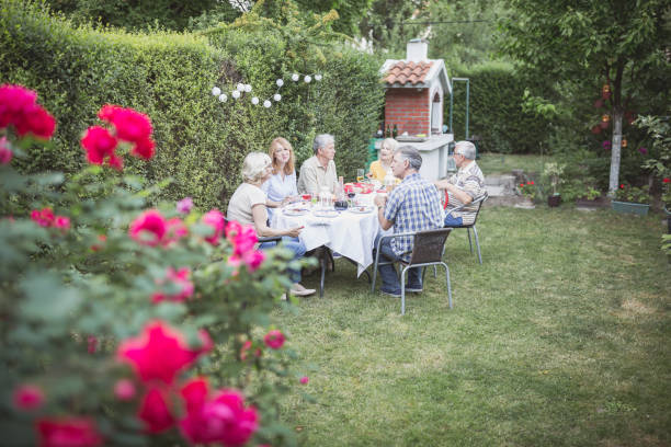 istock Senior people, friends, enjoying backyard barbecue 966830664