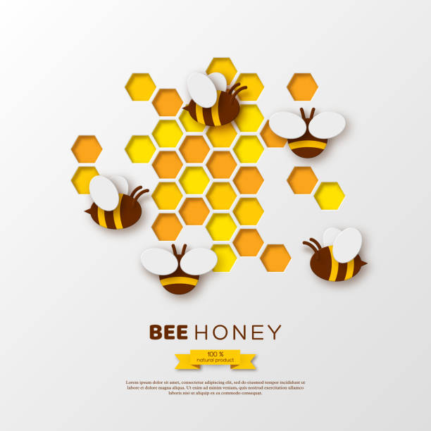 ilustrações de stock, clip art, desenhos animados e ícones de paper cut style bee with honeycombs. template design for beekiping and honey product. white background, vector illustration. - activity animal bee beeswax