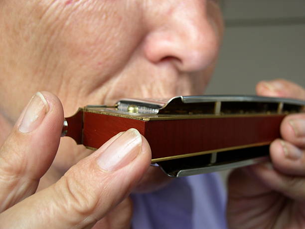 french harpe-harmonica - blues harp photos et images de collection