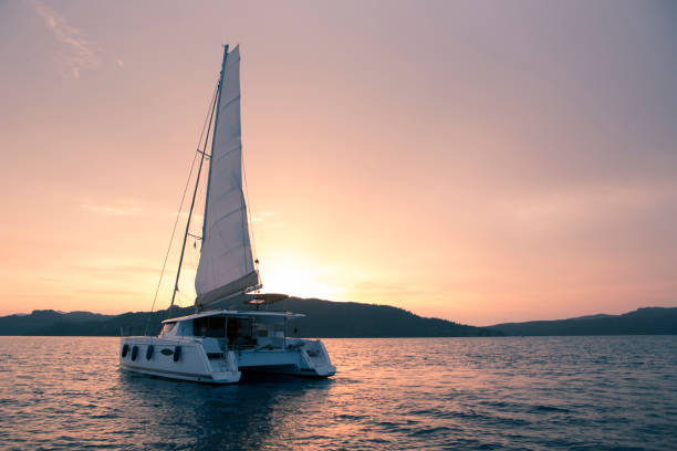 Yacht - Catamaran in the ocean. Sailing at sunset Yacht - Catamaran in the ocean. Sailing at sunset catamaran sailing boats stock pictures, royalty-free photos & images