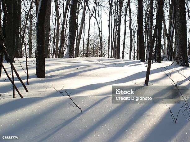森林階の冬 - アイオワ州のストックフォトや画像を多数ご用意 - アイオワ州, 冬, まぶしい