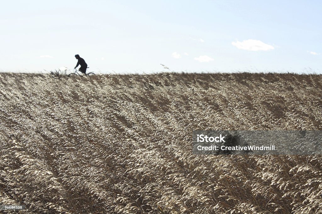 Mountainbiking на горизонт - Стоковые фото Альберта роялти-фри