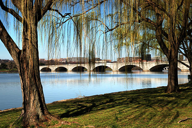 The Arlington Memorial Bridge spans the Potomac River with the Rosslyn skyline in the background.