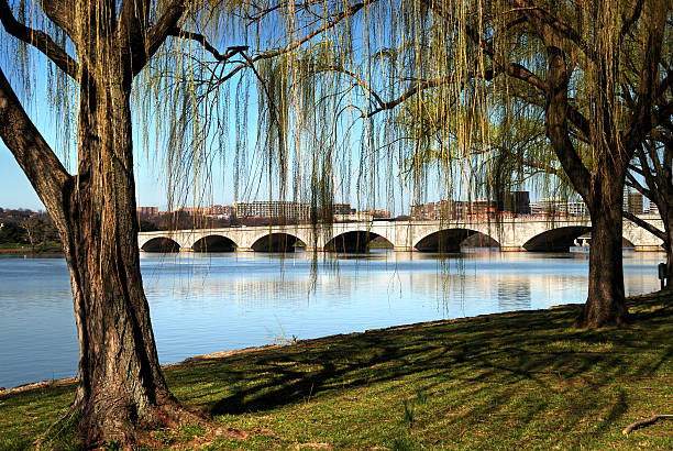 Washington DC Arlington Memorial Bridge  arlington memorial bridge photos stock pictures, royalty-free photos & images