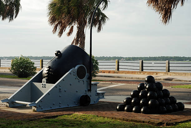 cannon no parque com vista para o porto - charleston harbor - fotografias e filmes do acervo