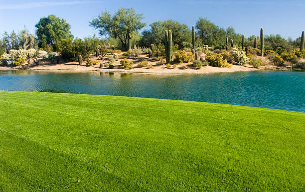 pole golfowe w pustyni - phoenix arizona skyline desert zdjęcia i obrazy z banku zdjęć