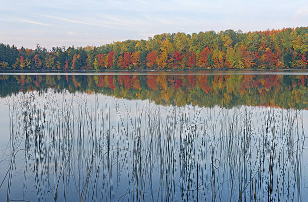 istock Autumn, Moccasin Lake 96685352