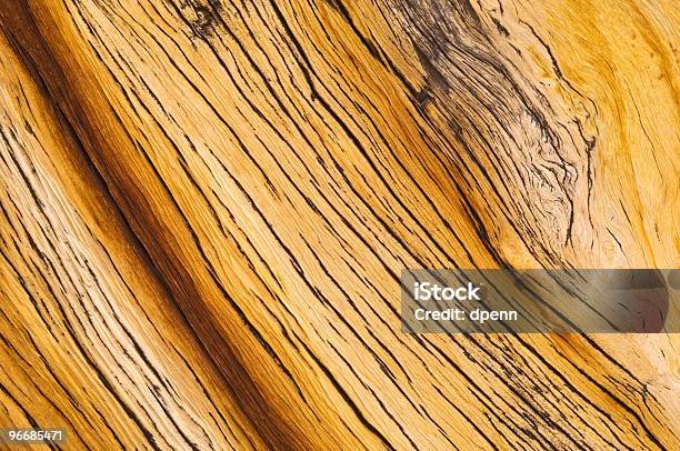 Bristlecone Pine Stockfoto und mehr Bilder von Abstrakt - Abstrakt, Baum, Bildhintergrund
