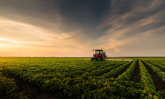 Tractores, pesticidas de rociadura en el campo de soja con rociador en primavera photo