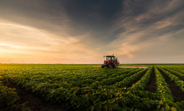 tractores, pesticidas de rociadura en el campo de soja con rociador en primavera - arable fotografías e imágenes de stock
