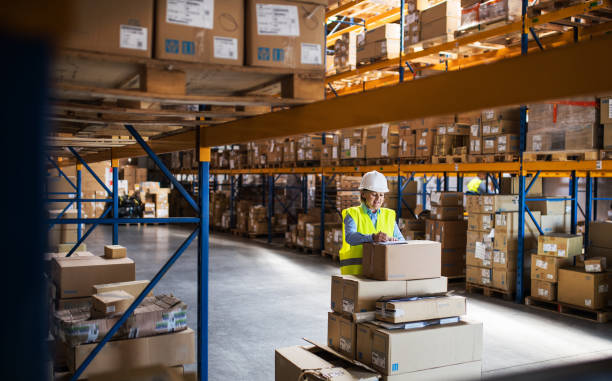 a senior woman warehouse worker or supervisor controlling stock. - shipping supplies imagens e fotografias de stock