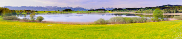 istock panoramic scene with lake Forggensee and mountains in Bavaria 966864188