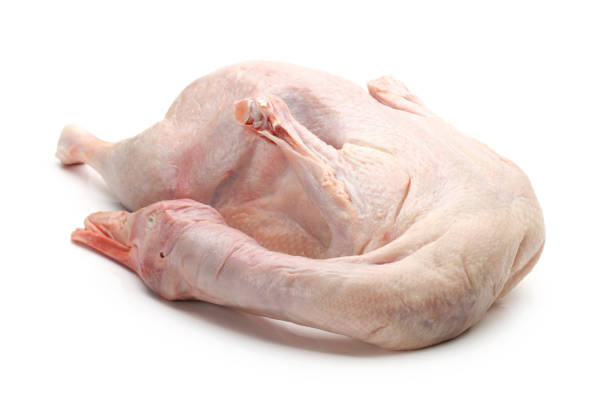 istock Raw Uncooked Duck On Wood Cutting Board Isolated on white background 966874384
