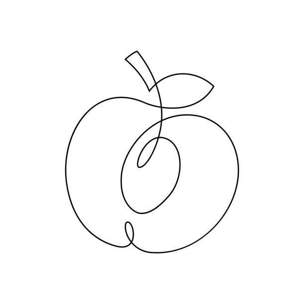 ilustraciones, imágenes clip art, dibujos animados e iconos de stock de diseño de una línea de melocotón. mano dibuja la ilustración de vector de estilo de minimalismo. - nectarine peaches peach abstract