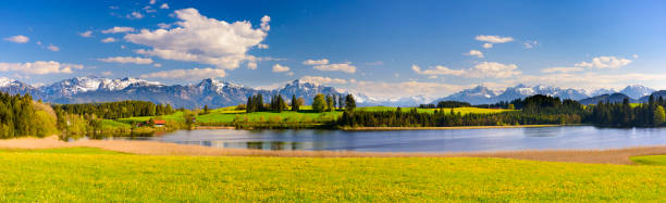 istock panoramic scene with lake Forggensee and mountains in Bavaria 966885304