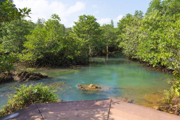 istock Tha Pom Khlong Song Nam 966888950