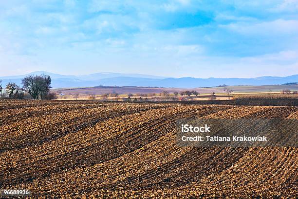 Campo Lavrado - Fotografias de stock e mais imagens de Agricultura - Agricultura, Ajardinado, Ao Ar Livre