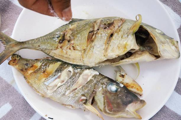 Open fire outdoor fish cooking on a sandy beach