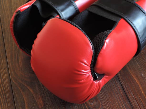 istock Taekwondo sparring gloves 966893714