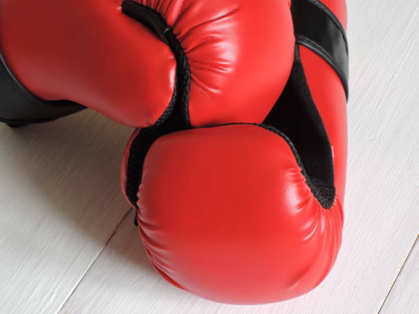 istock Taekwondo sparring gloves 966893850