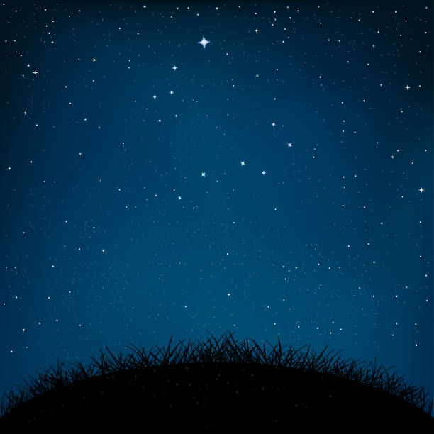 ilustraciones, imágenes clip art, dibujos animados e iconos de stock de tierra y hierba del cielo estrellado de la noche - cielo estrellado
