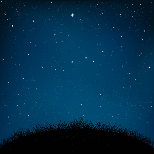 night starry sky grass and ground Night starry sky and dark grass ground silhouette background. Nature nightly meadow landscape with shiny stars. Constellation Big and small Dipper. Great Bear star star field illustrations stock illustrations