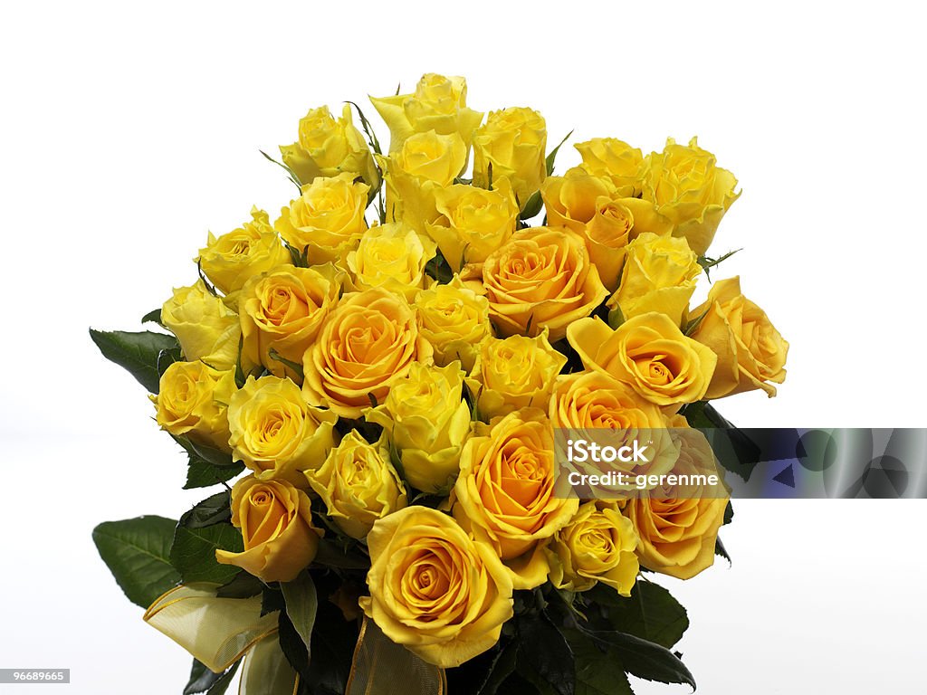 Rosas amarelas - Foto de stock de Aberto royalty-free