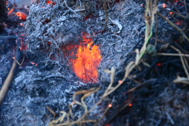 istock Burning flames in the night 966900202