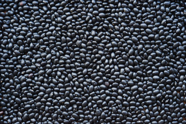 istock close up of black beans 966905042