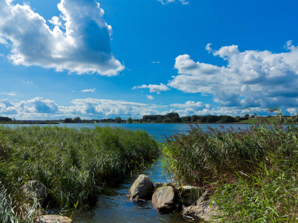 istock riverside landscape in northern germany 966905686