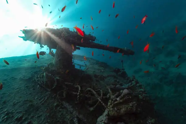 Photo of antiaircraft gun of ss thistlegorm in backlight