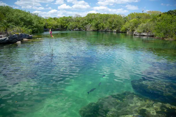 Xel-Ha lagoon reserve in Mexico Yucatan tourists park