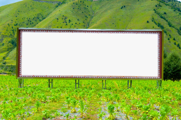 istock Blank panels for Outdoor Wilderness 966918740