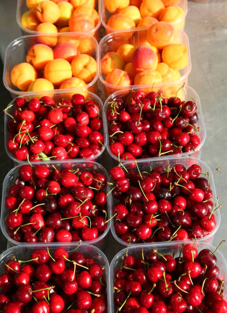 istock cherries and orange apricots freshly picked from the trees for s 966932782