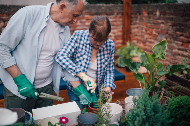 istock Senior couple planting 966933870