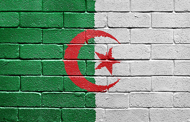 istock Flag of Algeria on brick wall 96693802