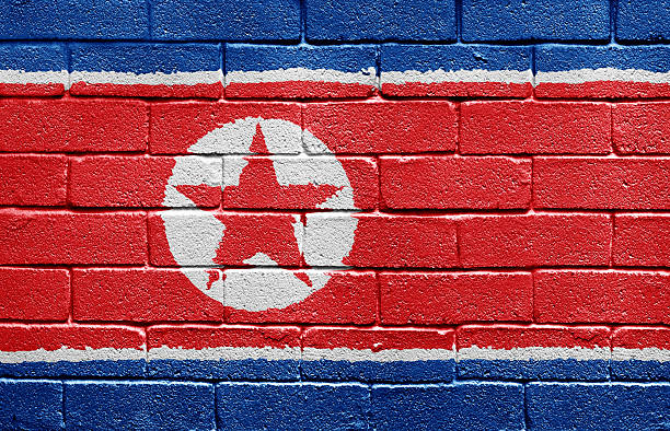 istock Flag of North Korea on brick wall 96693892