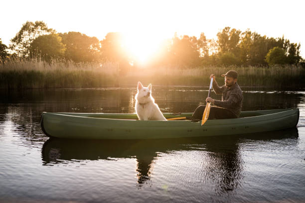 istock Man and dog canoeing in the sun set 966951124