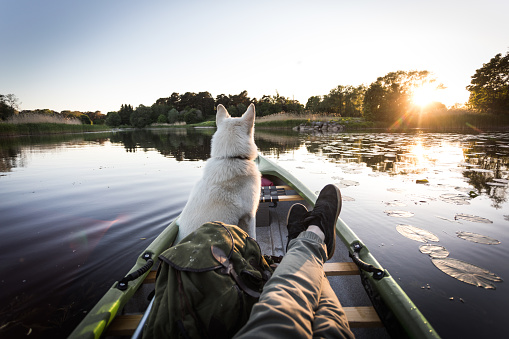 Photo series of man and his dog canoeing on river in warm summer before sunset.