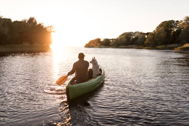 man and dog in the sun set with canoe - dog tranquil scene pets animals and pets imagens e fotografias de stock