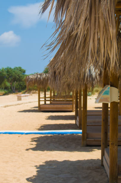 istock Beach and palm trees, sunny day Cyprus 966952130