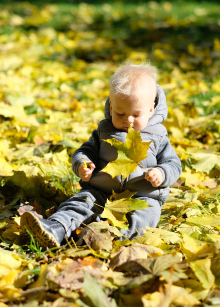 istock Baby boy with yellow autumn maple leaf 966952270