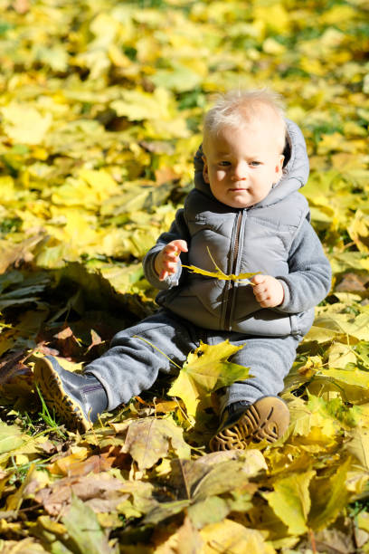 istock Baby boy with yellow autumn maple leaf 966952294