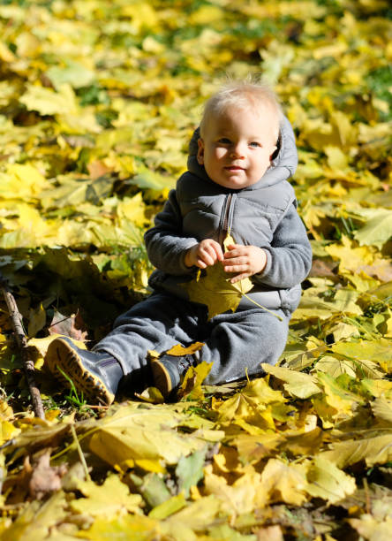 istock Baby boy with yellow autumn maple leaf 966952408